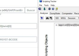 SAP id usuario – id contraseña