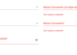 ¿Como pego unos valores en las casillas de color rojo? (Ya tengo los valores en variables)